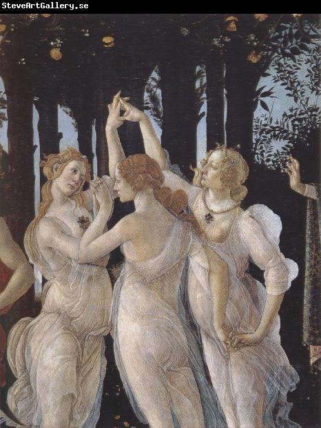 Sandro Botticelli La Primavera (mk39)